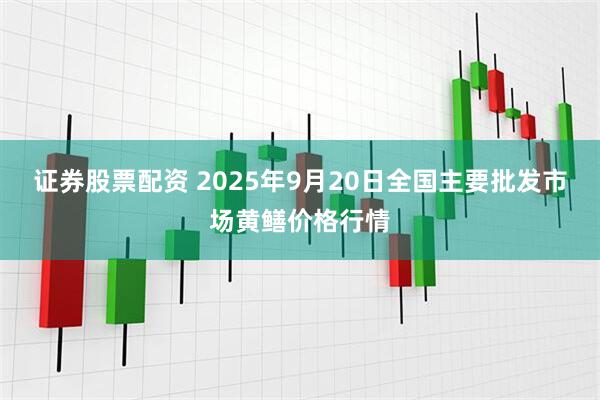 证券股票配资 2025年9月20日全国主要批发市场黄鳝价格行情