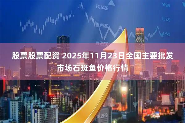 股票股票配资 2025年11月23日全国主要批发市场石斑鱼价格行情