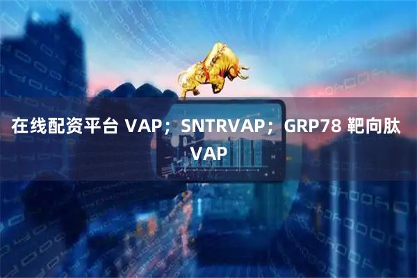 在线配资平台 VAP；SNTRVAP；GRP78 靶向肽 VAP